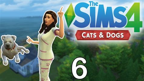 Veterinary Clinic The Sims 4 Cats And Dogs Part 6 Youtube