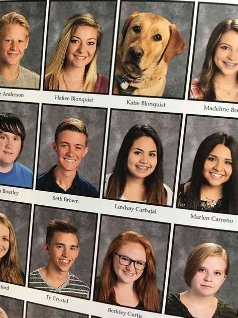 Diabetic Service Dog Appears In Utah Yearbook