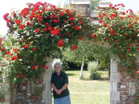 Carolines Tips Arch Gardening