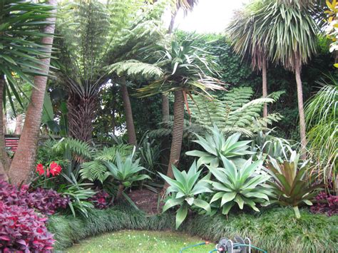 How to design a tropical garden. Sub-tropical garden - Landscape design, garden care ...