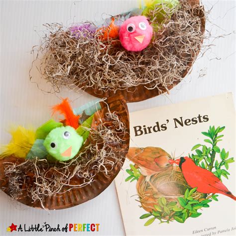 18 Cool Diy Projects For Kids Bird Nest Craft Bird Crafts Preschool