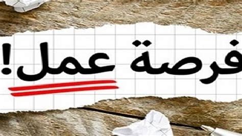 فرص عمل في تركيا | اخر تحديث: فرصة عمل | افضل مواقع البحث عن عمل للحصول على وظيفة ملائمة ...