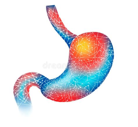 Stomach 3d Illustration Blue Illustration With Red Damage Isolated On