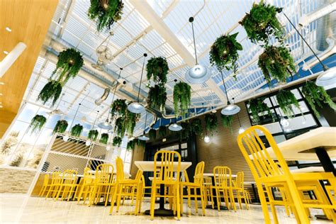 Artificial Hanging Plants At Cannabis Coffee Shop