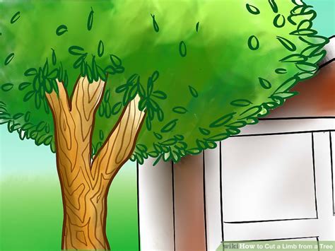 A cactus (plural cacti, cactuses, or less commonly, cactus) is a member of the plant family cactaceae, a family comprising about 127 genera with some 1750 known species of the order. How to Cut a Limb from a Tree: 7 Steps (with Pictures ...