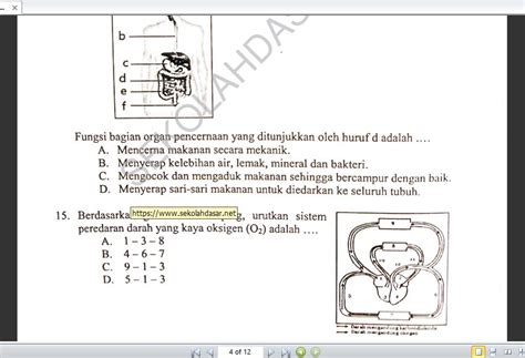 4 contoh soal aksara jawa pilihan ganda soal plh kelas 9 semester 1 dan kunci jawaban contoh soal dan jawaban. Www Sekolahdasar Net Kunci Jawaban Bahasa Jawa Kelas 6 ...