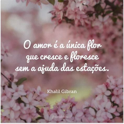 Frase De Flor E Amor