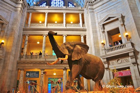 Kid Friendly Capitol Must See Attractions In Washington Dc