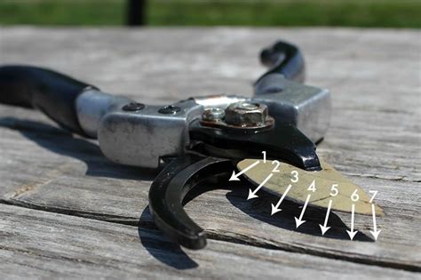 Blades can be sharpened manually with a mill file or scissor. How to Sharpen Pruning Shears | The Creek Line House