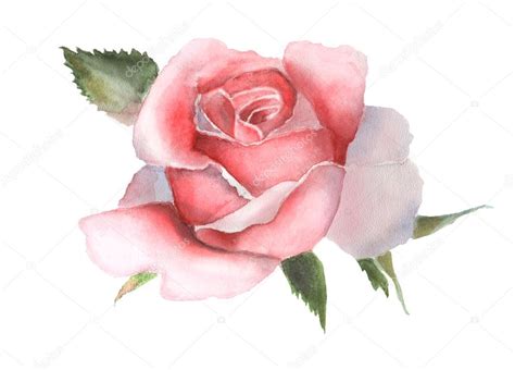 Dessin De Fleur Rose Fleur Dessin Rose Cool Images Bouquet De Roses Au Crayon Plomb Fleurs