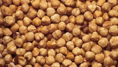 Growing Hazelnuts From Seeds