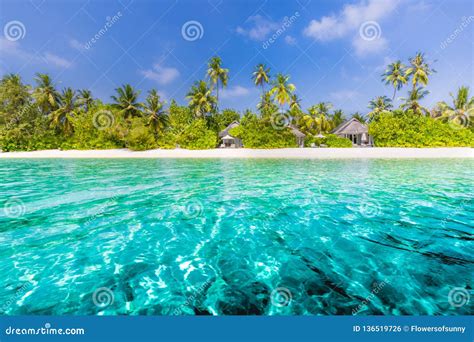 Dream Scene Beautiful Palm Trees Over White Sand Beach And Amazing Sea