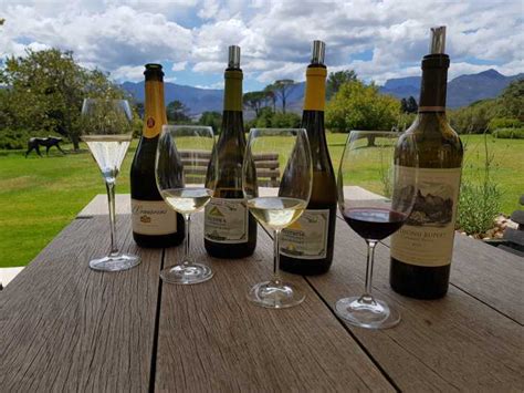 Cape Town Private Wine Tour Getyourguide