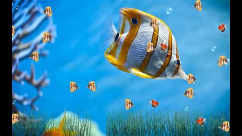 Marine Life Aquarium Animated Wallpaper