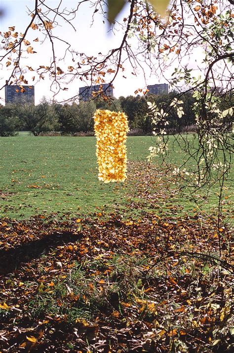 Andy Goldsworthy Sycamore Leaves Stitched Together With Stalks Hung