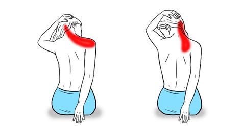 11 Stretches To Relieve Neck And Shoulder Tension Lifestyle
