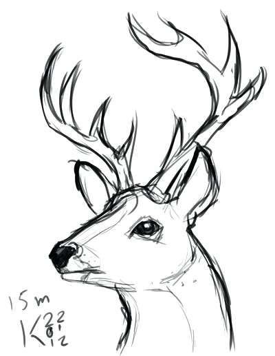 Image Result For Easy To Draw Deer Head Art In 2019