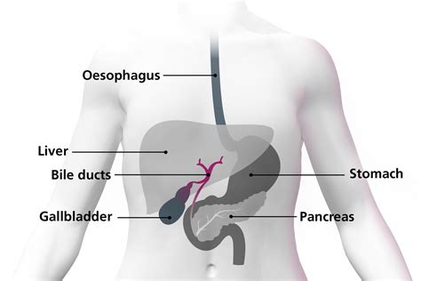 What Is Bile Duct Cancer Nhs