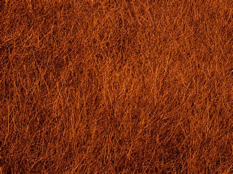 Brown Texture Background Free Stock Photo Public Domain Pictures