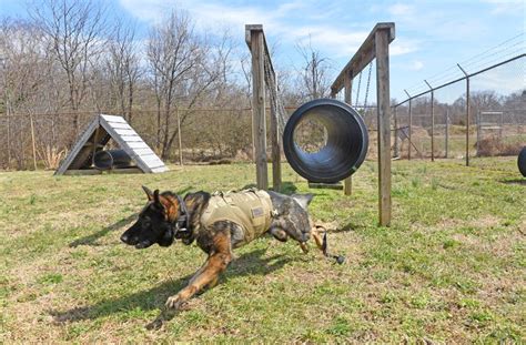 Inside Richmonds New K 9 Unit Training Center News And Features