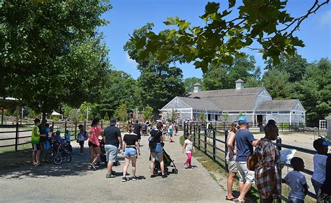 Smooth Sailing Into Kindergarten At Buttonwood Park Zoo