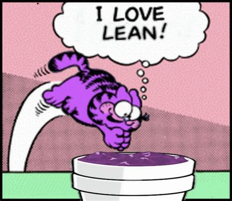 Garfield Loves Lean I Love Lean Know Your Meme