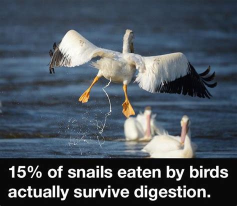 Strange But True Facts That Are Hard To Believe 22 Pics