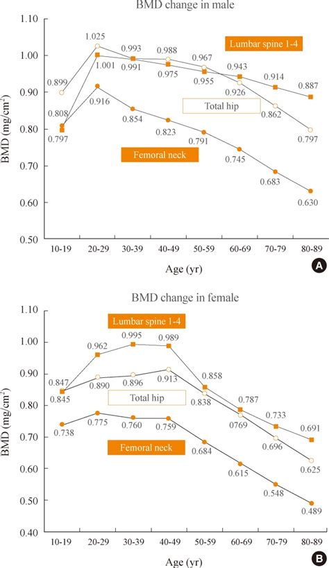 Bone Mineral Density Bmd Change In The Men And Women A The Graph