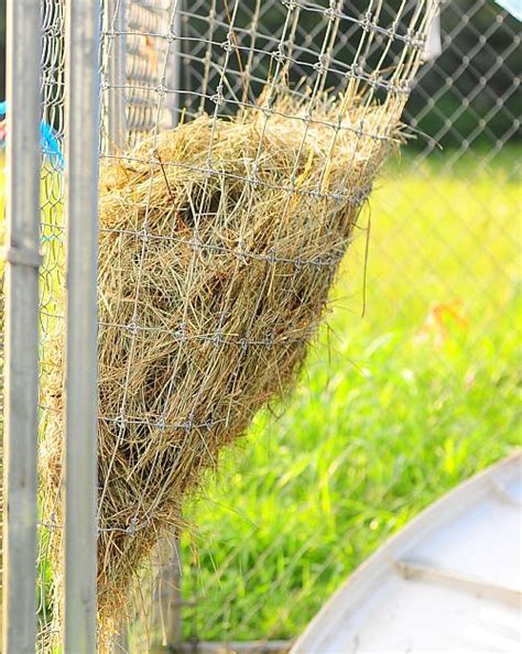 Livestream demos of machinery and materials. WFMW - Cheap, DIY hanging hay feeder | Rina Marie