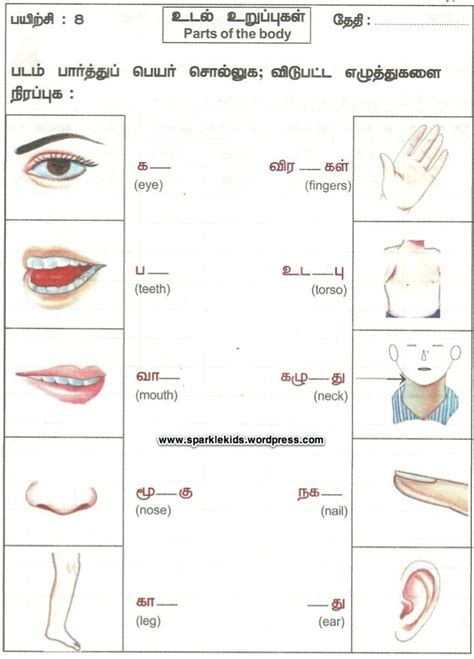 Contact body language in tamil on messenger. 17 best tamil worksheets images on Pinterest | Activities ...