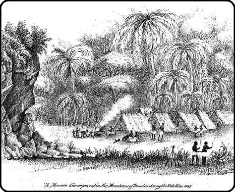 See more ideas about jamaica, maroon, jamaican culture. Maroons in Jamaica