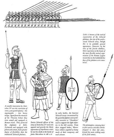 Seleucids Ancient Warfare Ancient History Ancient Warriors