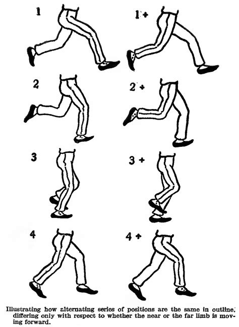 Jan 14, 2016 · draw our main walking poses step 1. How to Draw and Animate a Person Walking or Running - Huge ...