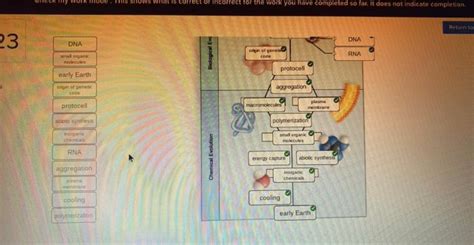 Origin Of The First Celllabel The Image Below To