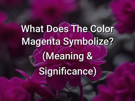 What Does The Color Magenta Symbolize Meaning Significance Symbol Genie