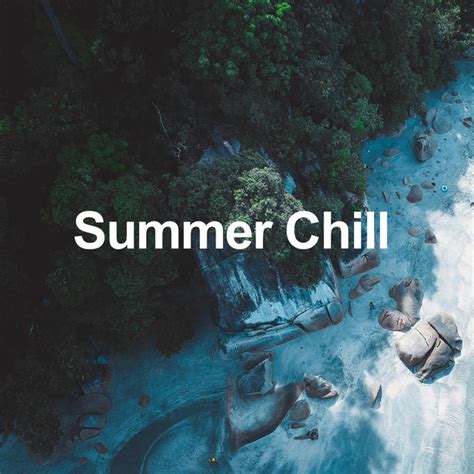 Summer Chill Playlist By Fantastic Music Spotify