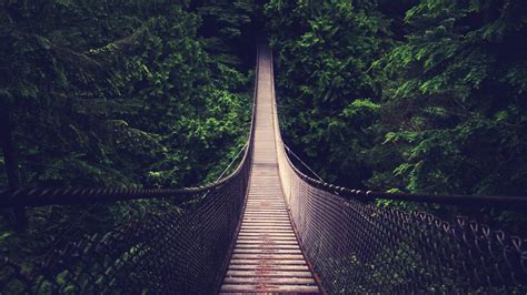 Bridge Forest Wallpapers Hd Desktop And Mobile Backgrounds