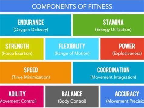 Health, fitness and exercise are essential to the sporting and life performance of humans. Unit 1 Btec Sport Level 2 Lesson one Components of Fitness ...