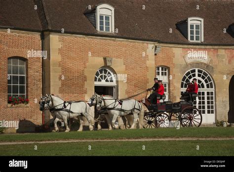 Horse Haras Du Pin National Stud France French Old Stock Photo Alamy