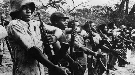Opera Mundi Hoje Na História 1975 Mpla Proclama A Independência De Angola