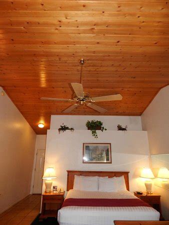 It's durability and gorgeous grain will bring satisfaction for many years to come. Knotty Pine Vaulted Ceiling - Picture of Majestic Mountain ...