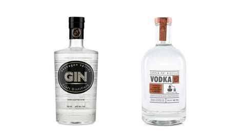 Difference Between Vodka And Gin You Need To Know Seekbottles
