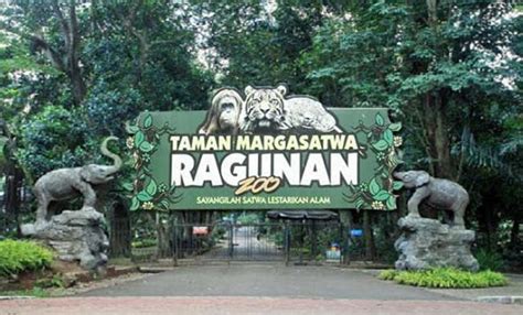 Destinasti Objek Wisata Kebun Binatang Ragunan Di Dki Jakarta Selatan