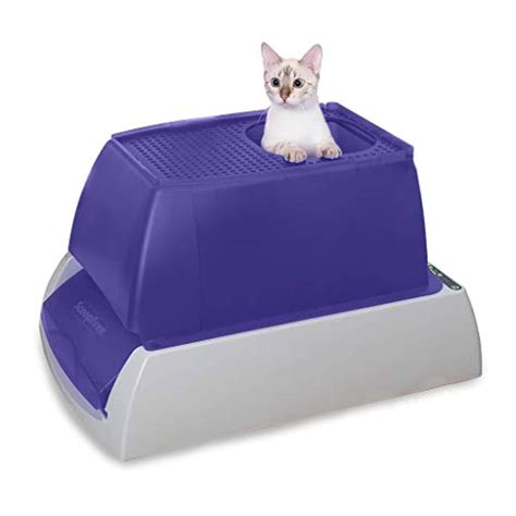 Disposable Litter Tray Cat Cat Meme Stock Pictures And Photos