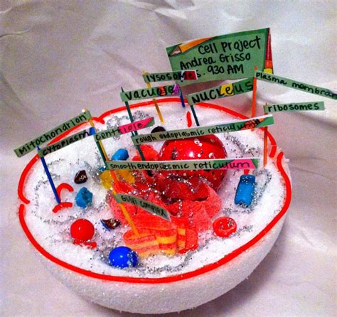 A Cell Model Make Of Candy And Glitter Biology Projects Cells