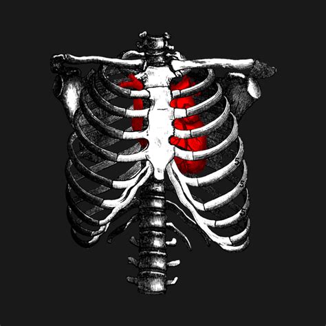 This item can be dropped. Ribcage Skeleton Red Heart Anatomy - Skeleton Rib Cage ...