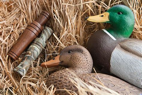 Wood Duck Hunting Tips Best Scope Guide