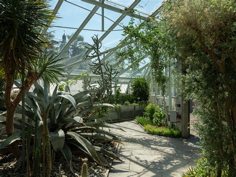 Check spelling or type a new query. Botanischer Garten, St.Gallen - Abgesagt