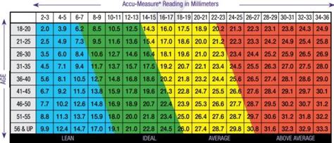 Körperfettanteil berechnen Wie viel Körperfett ist für Dich ideal