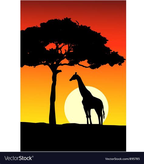 African Sunset Silhouette Giraffe